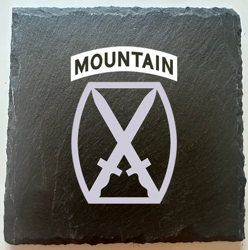 10th Mountain Division Patch