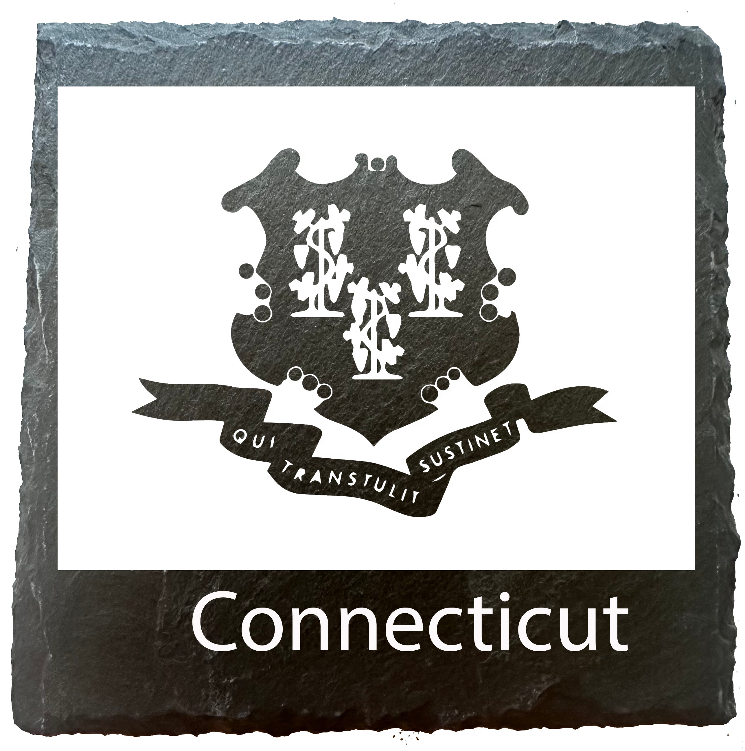 Connecticut Flag
