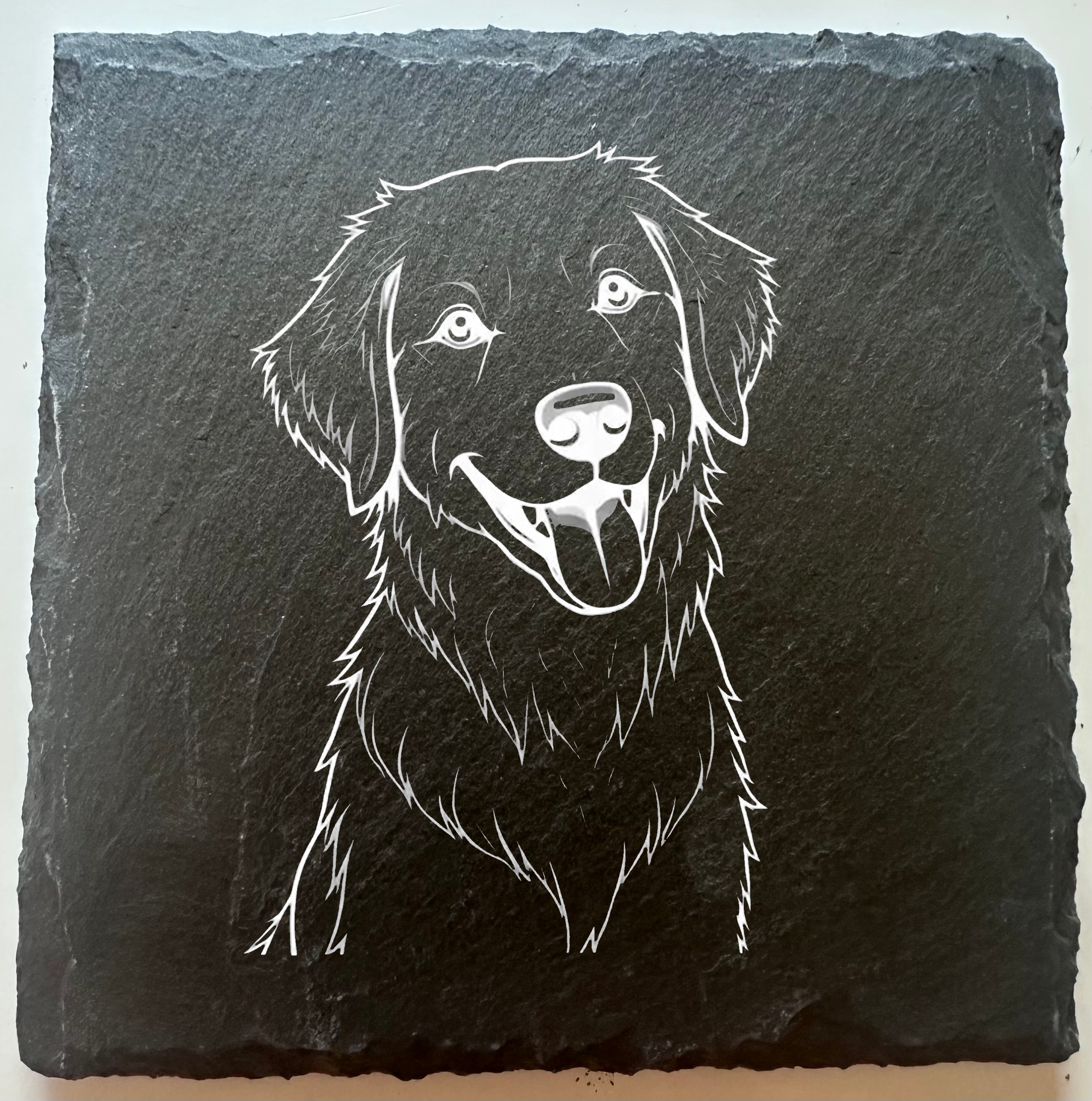 Golden Retriever 2
