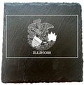 Illinois Flag