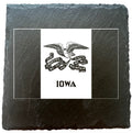 Iowa Flag