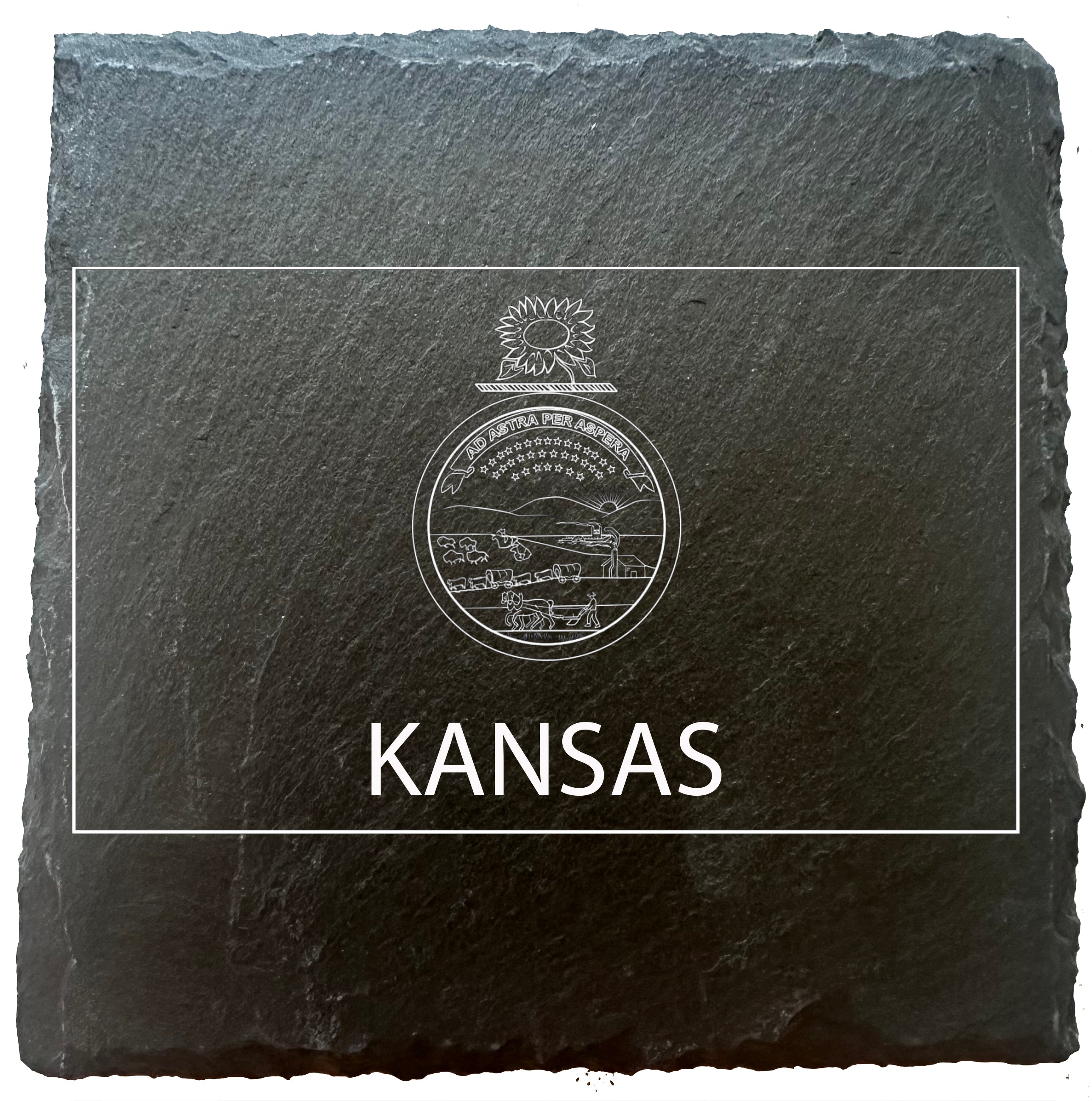 Kansas Flag