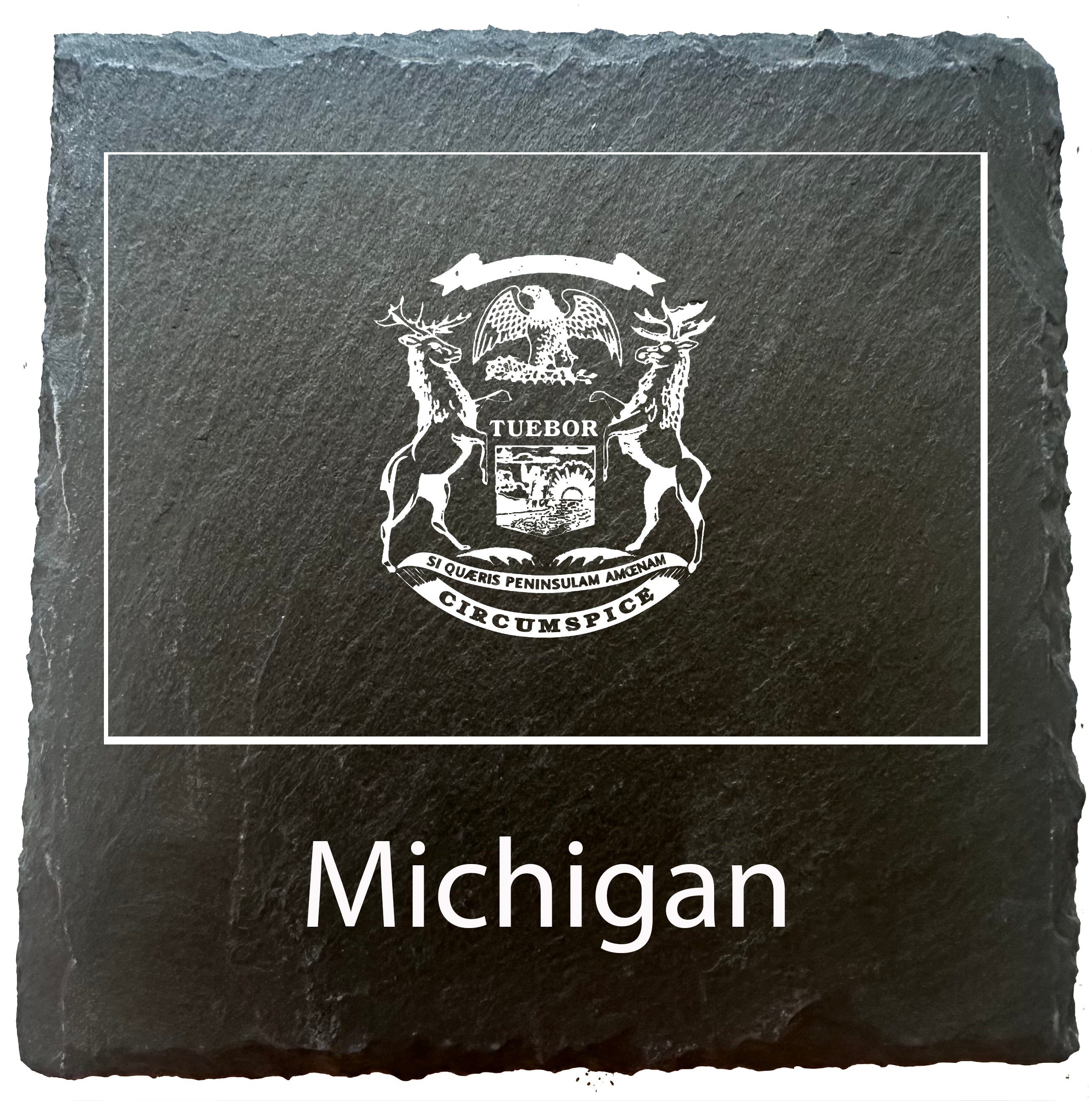 Michigan Flag