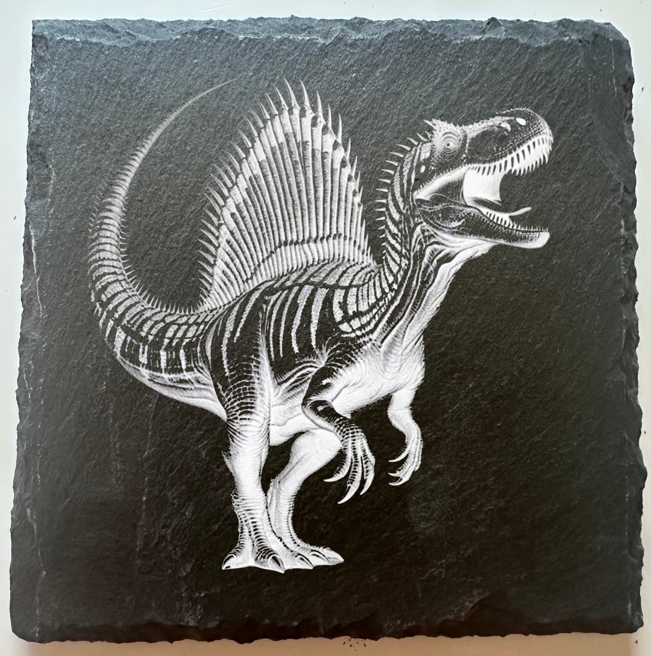 Spinosaurus Dinosaur